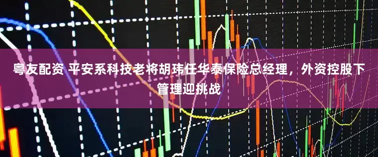 粤友配资 平安系科技老将胡玮任华泰保险总经理，外资控股下管理迎挑战